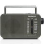 Daewoo Radio Portátil DW1121 Gris